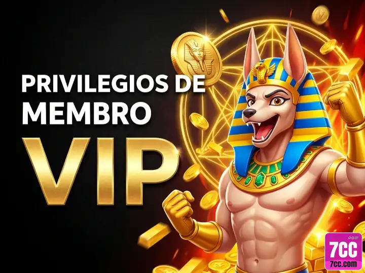 7cc.com descubra inovador jogo